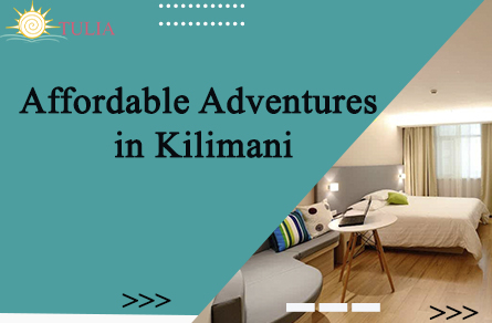 Affordable Adventures in Kilimani