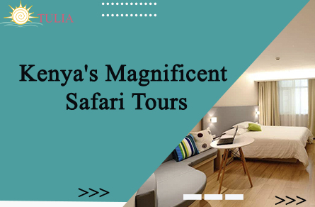 Kenya's Magnificent Safari Tours