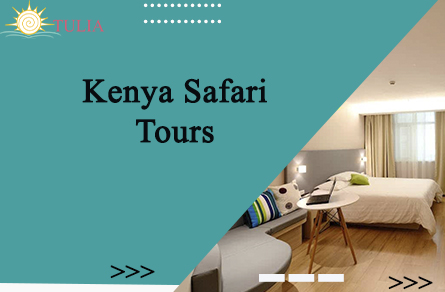 Safari Tours in Kenya