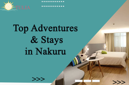 "Nakuru on a Budget: Top Adventures & Stays