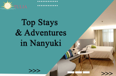 Top Stays & Adventures in Nanyuki
