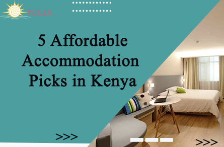 5 Affordable Accommodation Picks