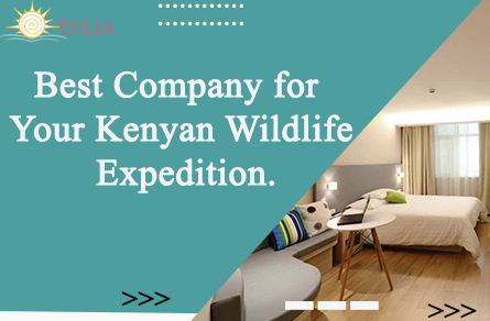 Best Company for Your Kenyan Wildlife Expedition