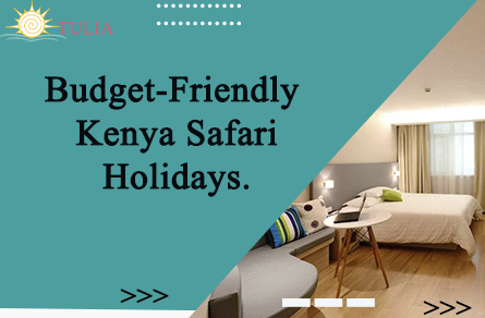 Budget-Friendly Kenya Safari Holidays
