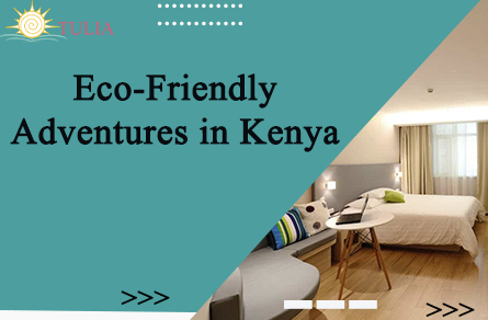 Eco-Friendly Adventures in Kenya
