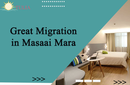 Great Migration in Maasai Mara