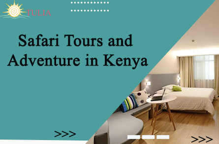 Safari Tours and Adventure in Kenya