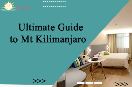 Ultimate guide to Mt Kilimanjaro