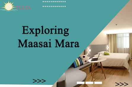 Safari Journey in Maasai Mara