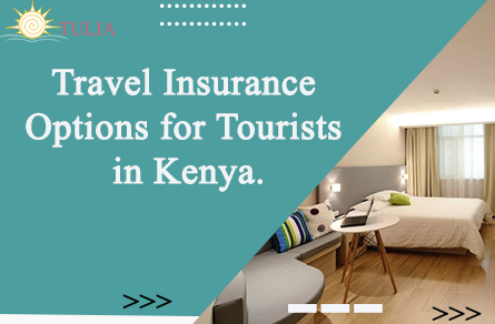 Travel Insurance Options for Tourists in Kenya