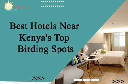 Best Hotels Near Kenya's Top Birding Spots
