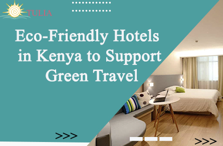 Eco-Friendly Hotels in Kenya to Support Green Travel