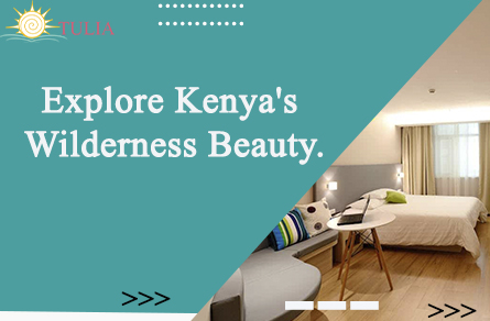 Explore Kenya's Wilderness Beauty