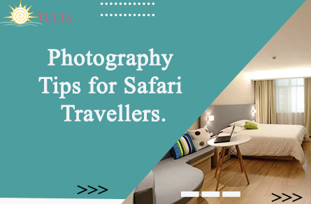 Photography Tips for Safari Travellers