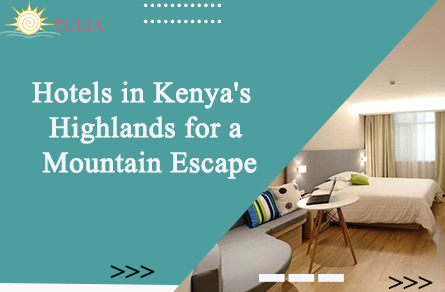 Hotels in Kenya's Highlands for a Mountain Escape